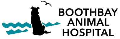 
       boothbay-animal-hospital-logo
      